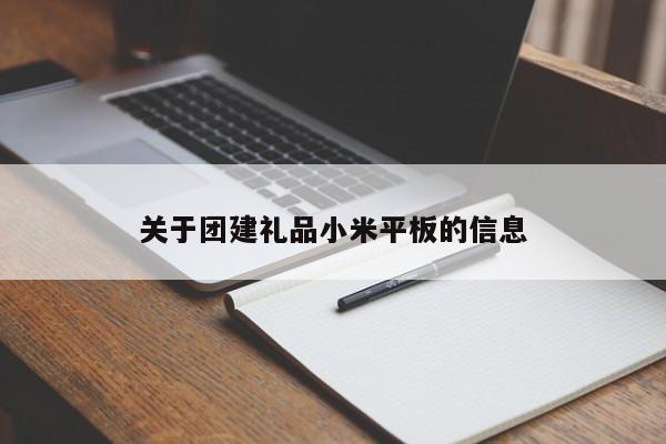 關于團建禮品小米平板的信息